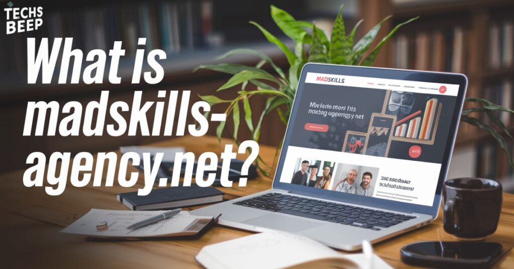 What is Madskills-Agency.Net?