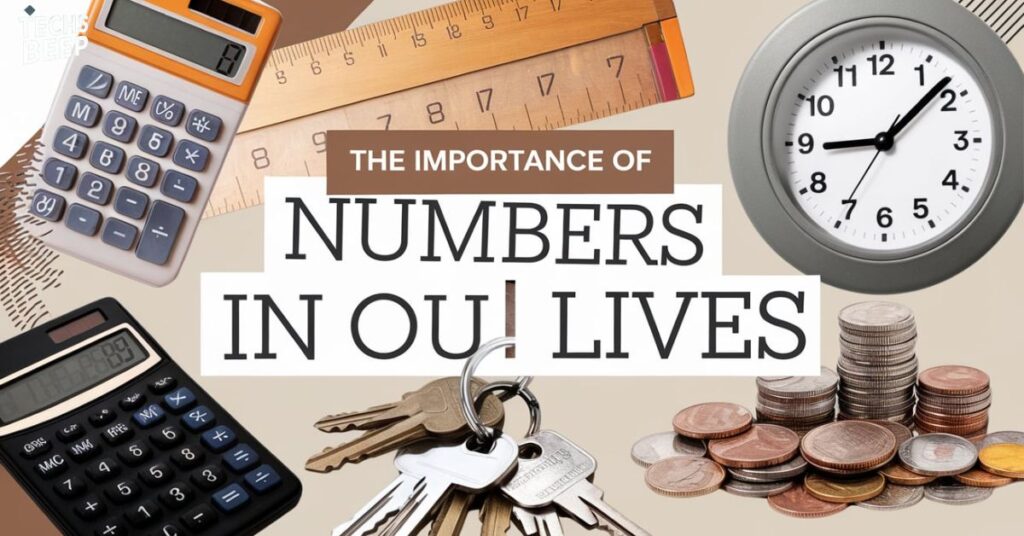 The Importance of Numbers in Our Lives