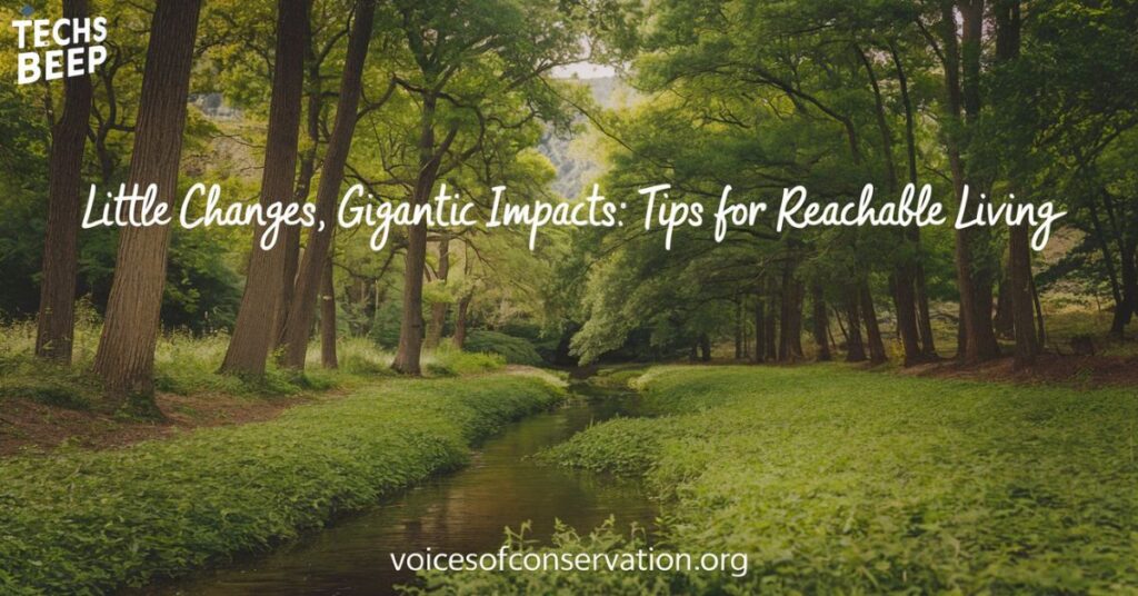 Little Changes, Gigantic Impacts: Tips for Reachable Living