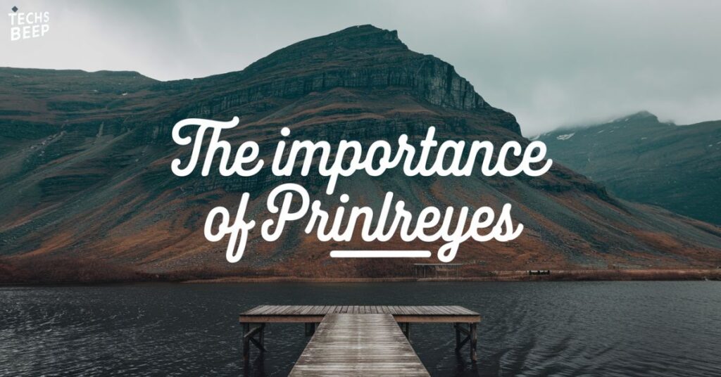 The Importance of Prinlreyes