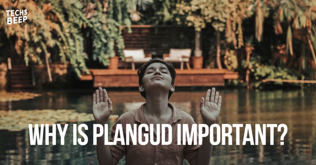 Why Is Plangud Important?