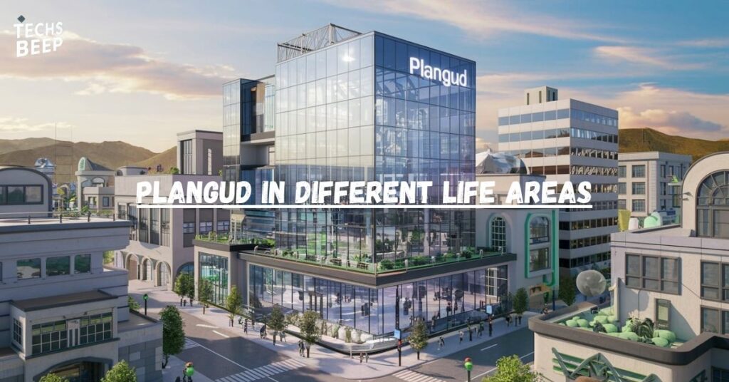 Plangud in Different Life Areas