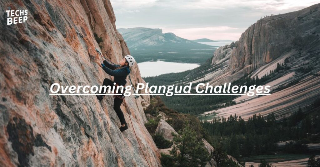 Overcoming Plangud Challenges